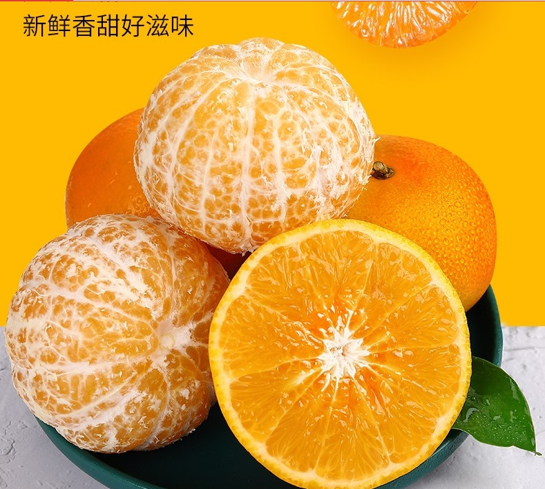 民椰 【衢州振兴馆】澳林奇沃柑橘子大果皮薄多汁