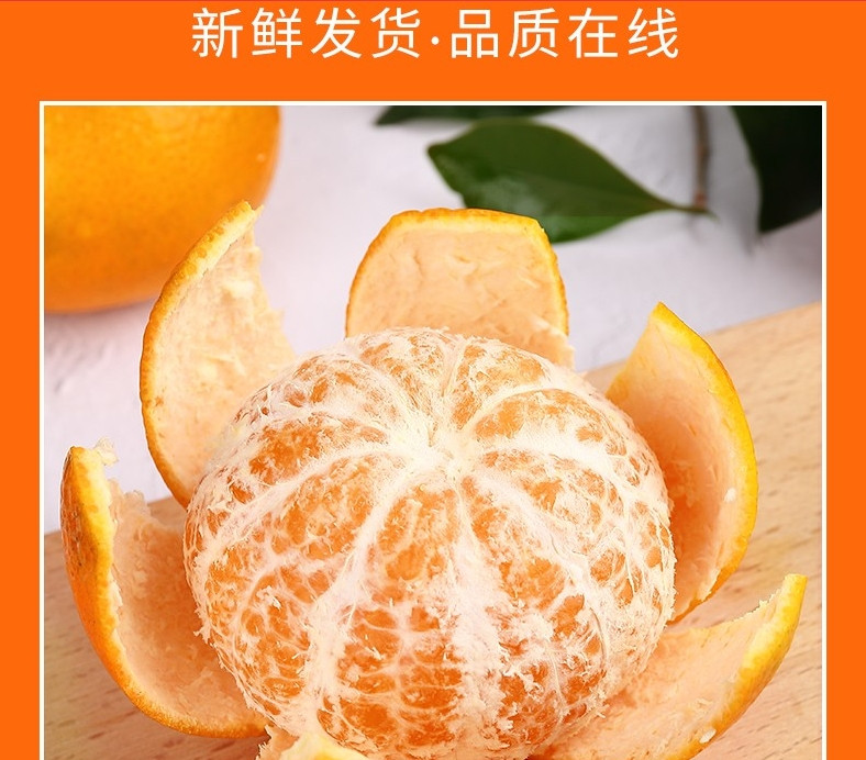民椰 【衢州振兴馆】澳林奇沃柑橘子大果皮薄多汁