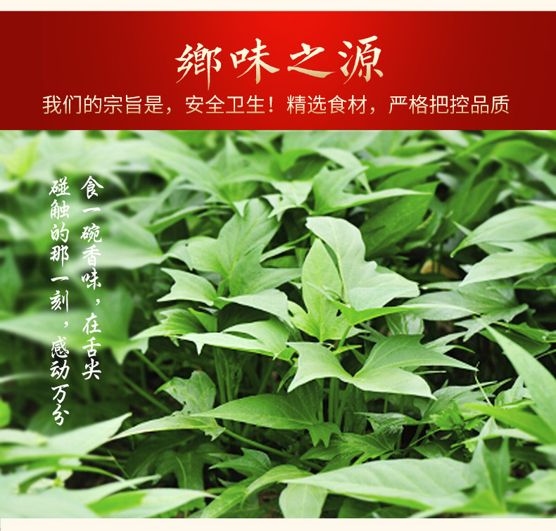 【 长沙馆】湖南特产 味鲜原 老坛茶油红薯叶 468g/瓶  包邮