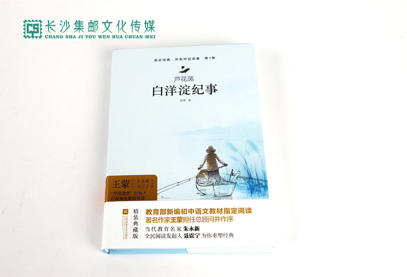 【长沙邮政书刊零售旗舰店】快乐读书吧·名著导读  七年级《白洋淀纪事》