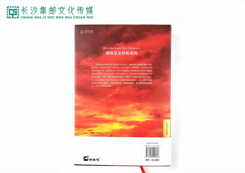 【长沙邮政书刊零售旗舰店】八年级必读课外书《钢铁是怎样炼成的》