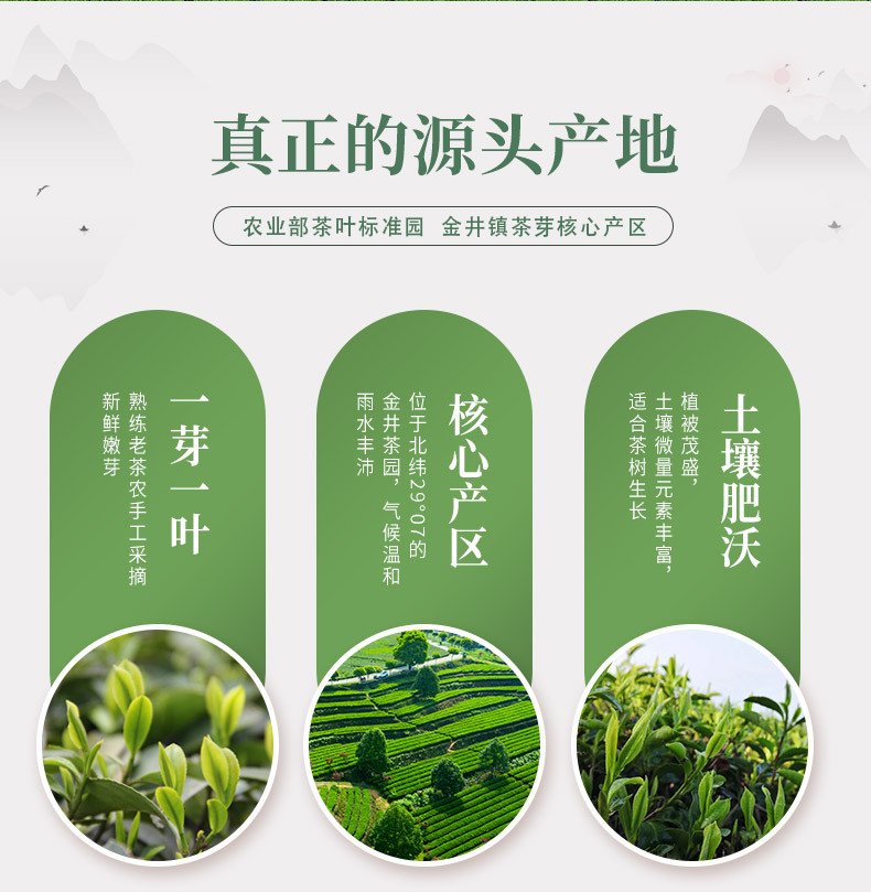 金井牌 为人民服务 绿茶  (4g*25包)/100g/盒