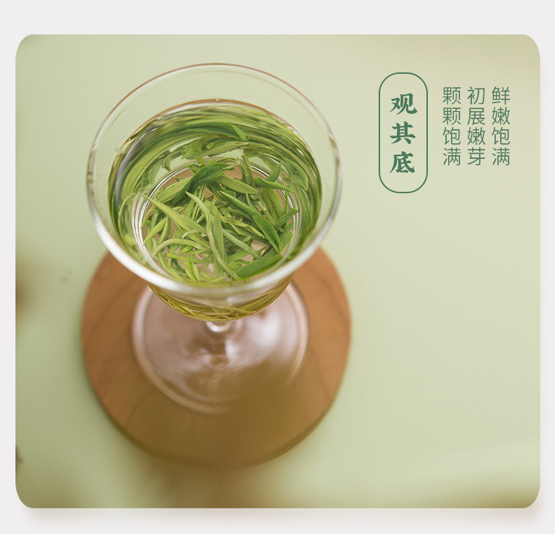 金井牌 为人民服务 绿茶  (4g*25包)/100g/盒