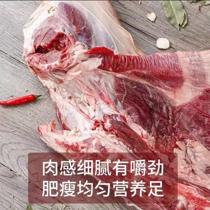 民受益 【柴达木臻品馆】草膘羊肉