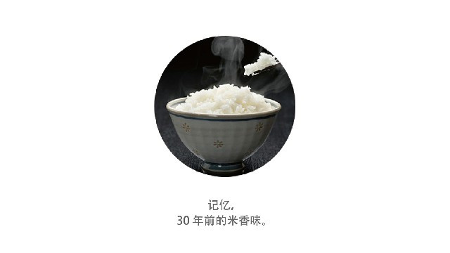 银川新米-糙米 1kg