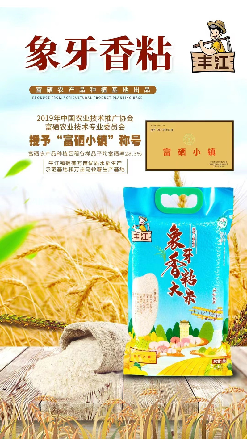 农家自产 【江门馆】丰江农业象牙香粘2.5KG