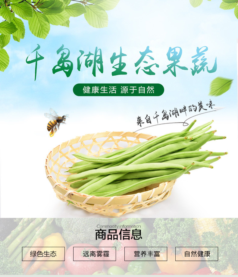 【助农】千岛湖 新鲜蔬菜 四季豆500g*4包 限江浙沪皖 包邮