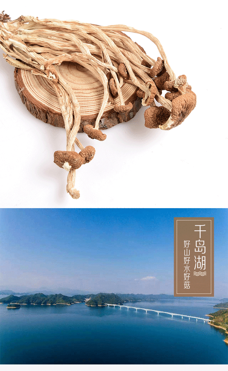 【千岛农品】千岛湖茶树菇200g