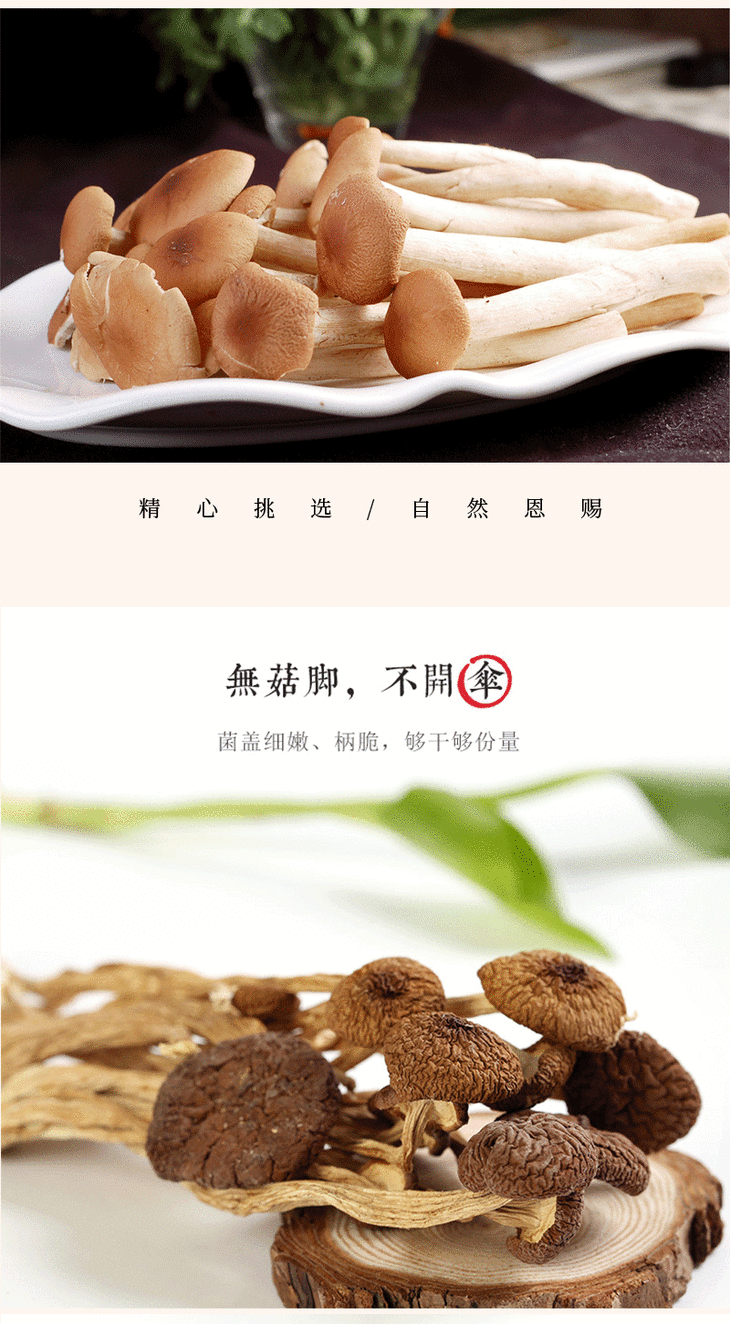 【千岛农品】千岛湖茶树菇200g