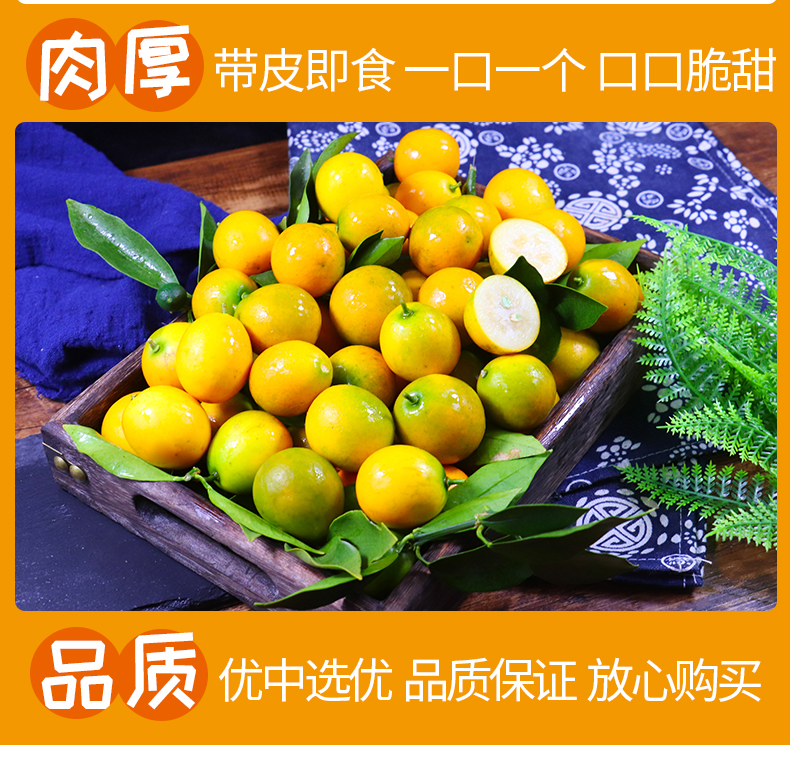 【桂林助农扶贫】桂林阳朔古板金桔 3斤/5斤 粒粒精选 甘甜润嗓 预售 1月9日之前陆续发货