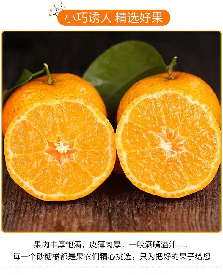 【桂邮助农】正宗广西永福富硒砂糖橘5斤装