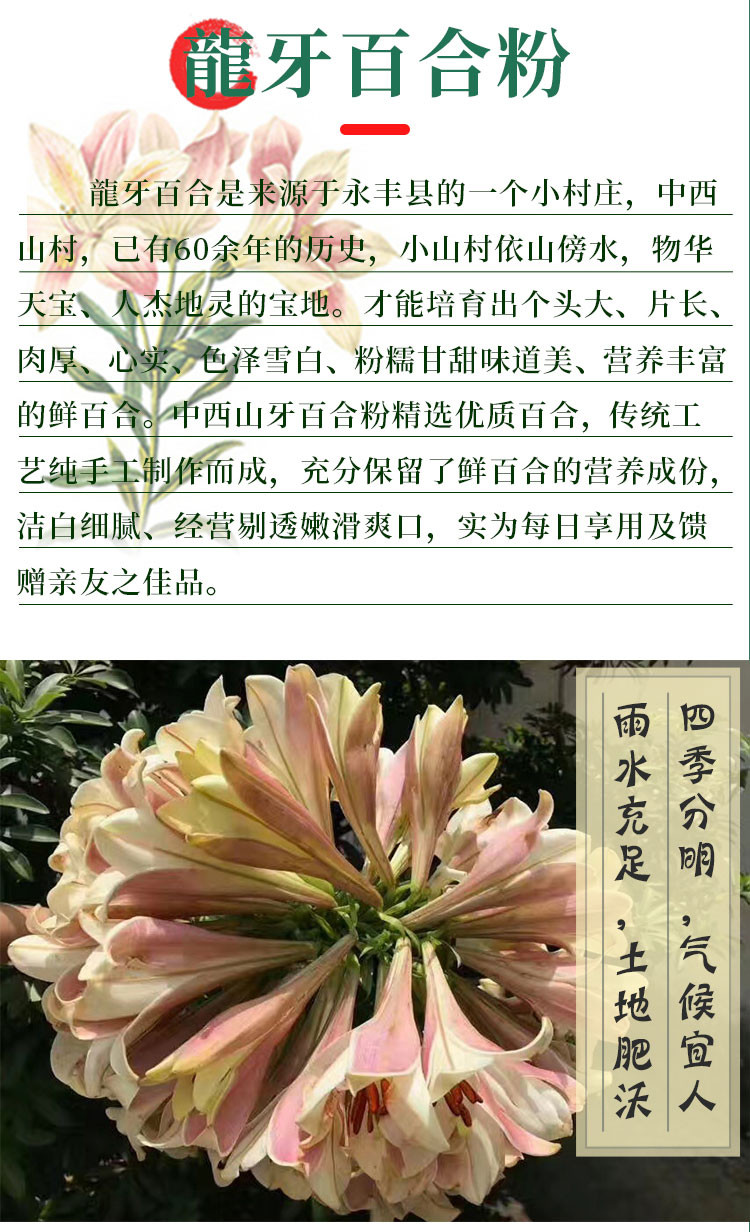 相宜源 桂花坚果百合粉700g