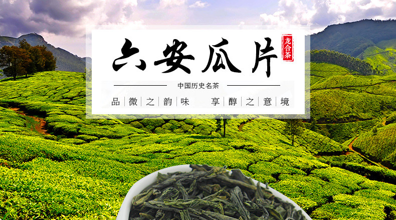 龙合春茶安徽特二级六安瓜片手工绿茶250g罐装雨前茶叶