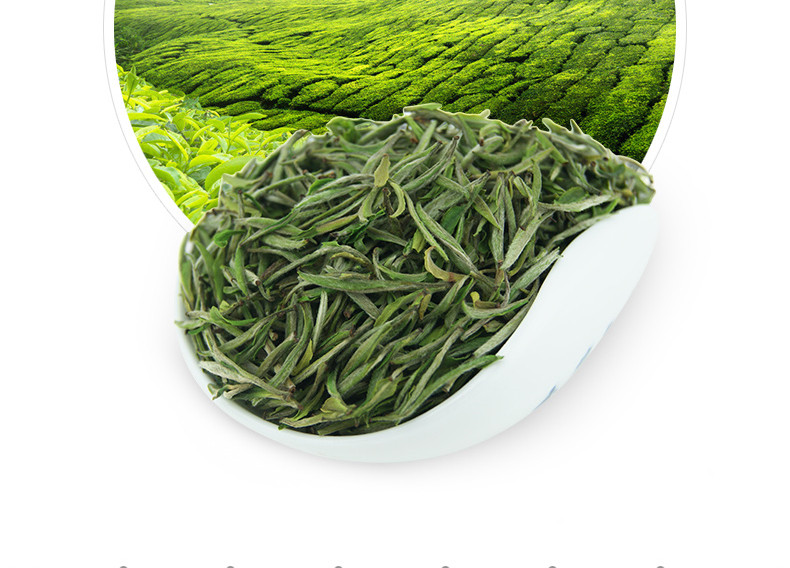 龙合 春茶安徽特级黄山毛峰绿茶250g礼盒装茶叶