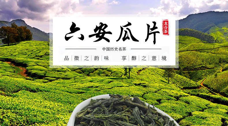 龙合 新茶春茶安徽特二级六安瓜片手工绿茶250g罐装雨前茶叶