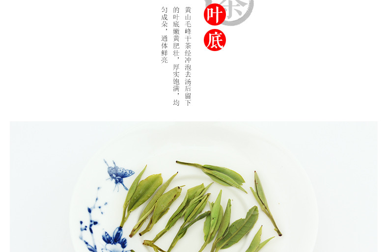 龙合 新茶春茶上市原产地正宗徽茶特级黄山毛峰国礼茶100g罐装