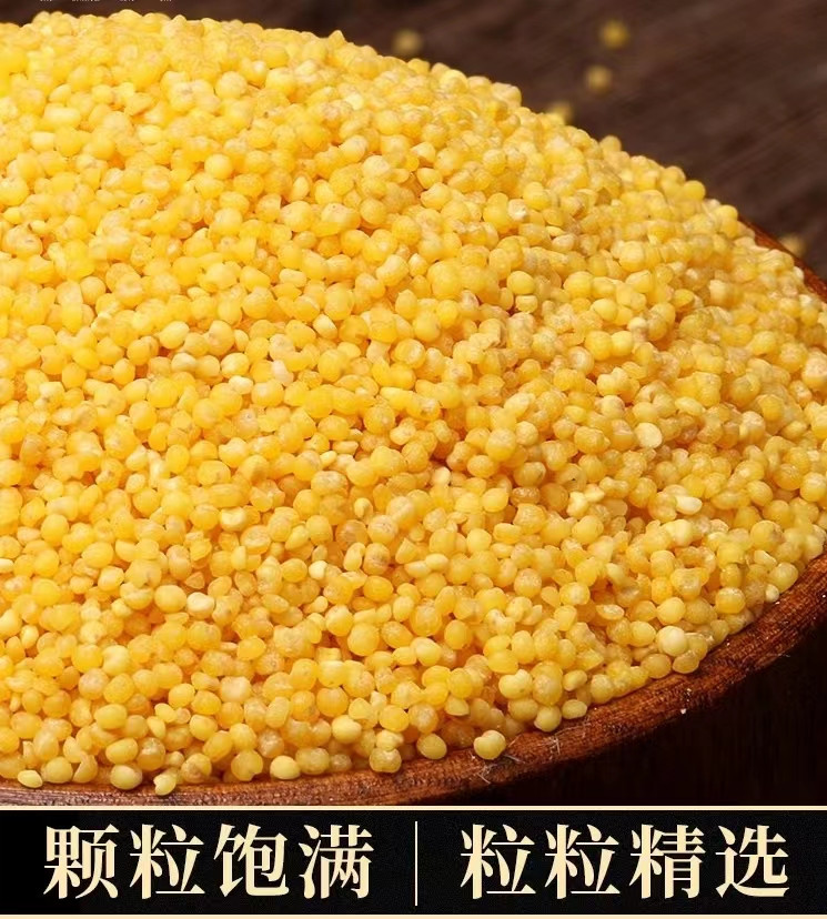 景润丰 小米 1kg 真空包装【河北邮政】