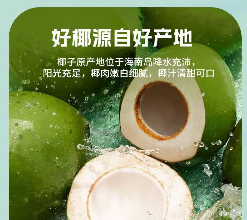 昌茂 【乐东馆】 昌茂青椰乳245ml*6瓶