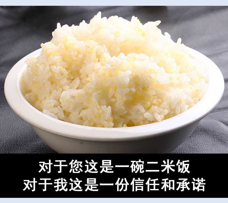 【小康龙江精准扶贫】明水对面小城杂粮小米500g/袋*2 不发货