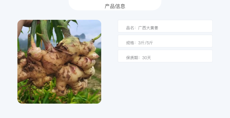 邮鲜生 广西大肉姜 现挖现发