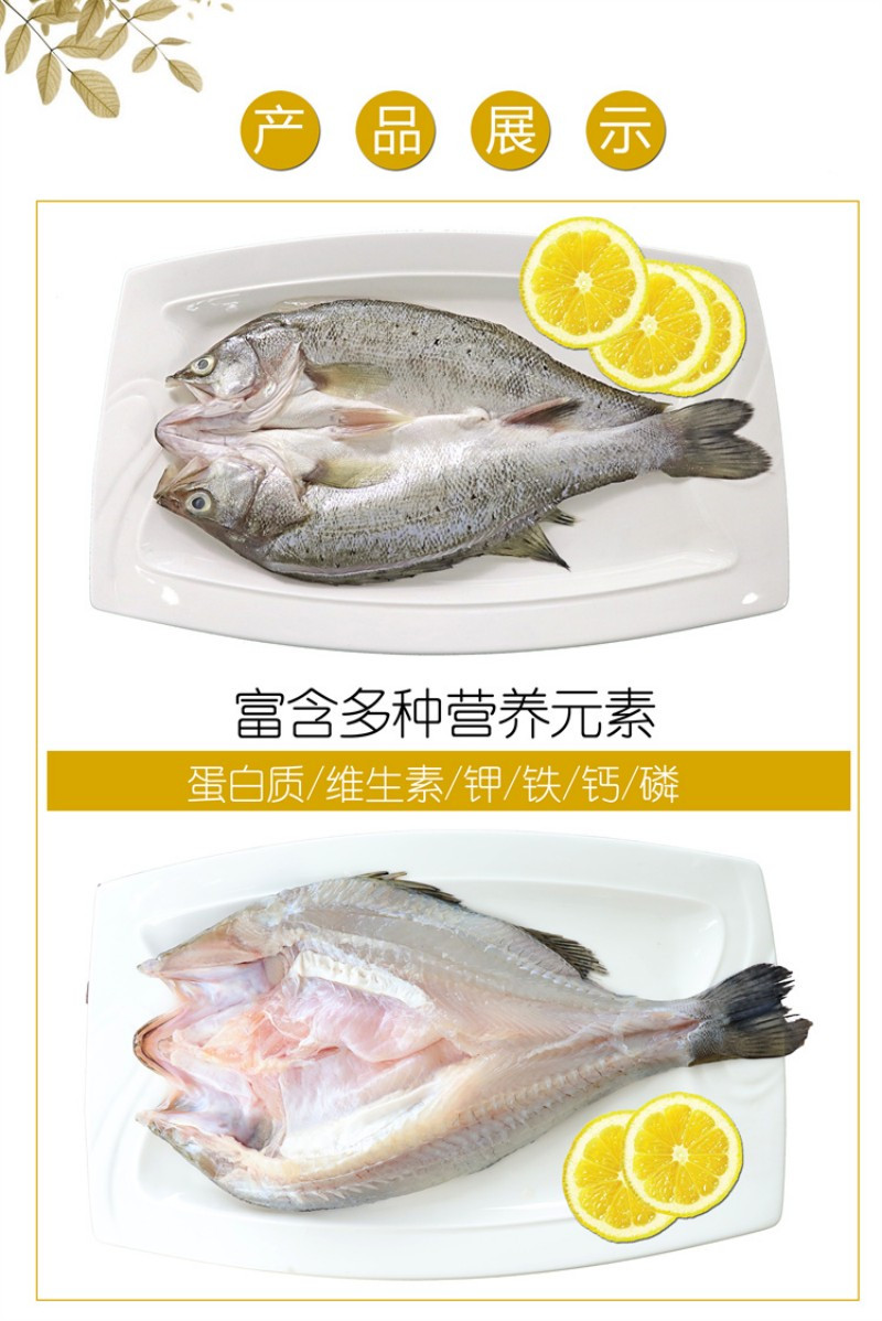 鱸魚公館 仅限广东【珠海馆】 四喜临门 2条海鲈鱼+2条彩虹斑