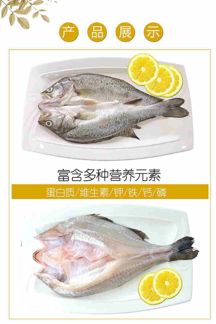 鱸魚公館 【珠海馆】全家福礼盒 珠海白蕉海鲈鱼 5条装