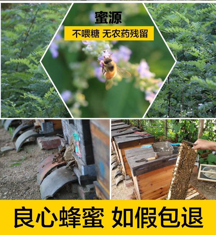 赣南五指峰 上犹特产百花蜂蜜500g纯正蜂巢蜂蜜