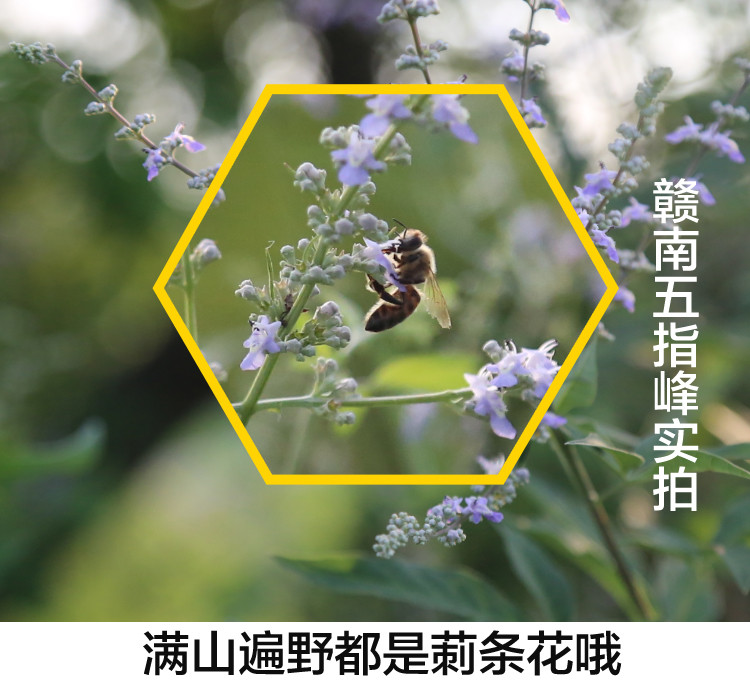 赣南五指峰 上犹特产百花蜂蜜500g纯正蜂巢蜂蜜