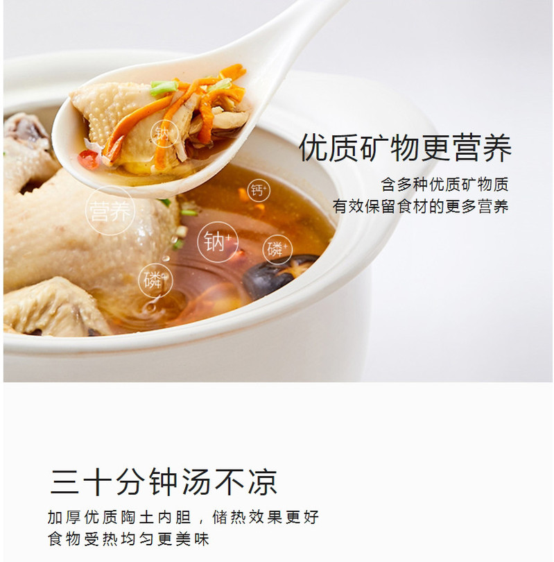 九阳/Joyoung 2.5L砂锅炖锅煲汤锅陶瓷汤煲榉木提手（白色）TCC2501