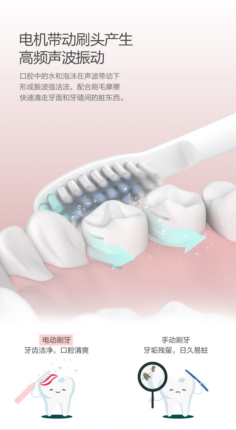 小熊（Bear）电动牙刷家用可充电式自动声波软毛美白防水DYS-A03B1