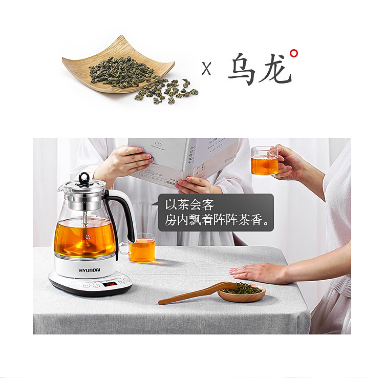 韩国现代（HYUNDAI）煮茶器煮茶壶蒸汽全自动黑茶蒸茶器泡茶花茶蒸茶养生壶QC-ZC1155