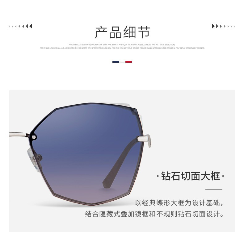 海俪恩 墨镜多边形太阳镜女款 个性时尚大框眼镜防紫外线 N6708N02