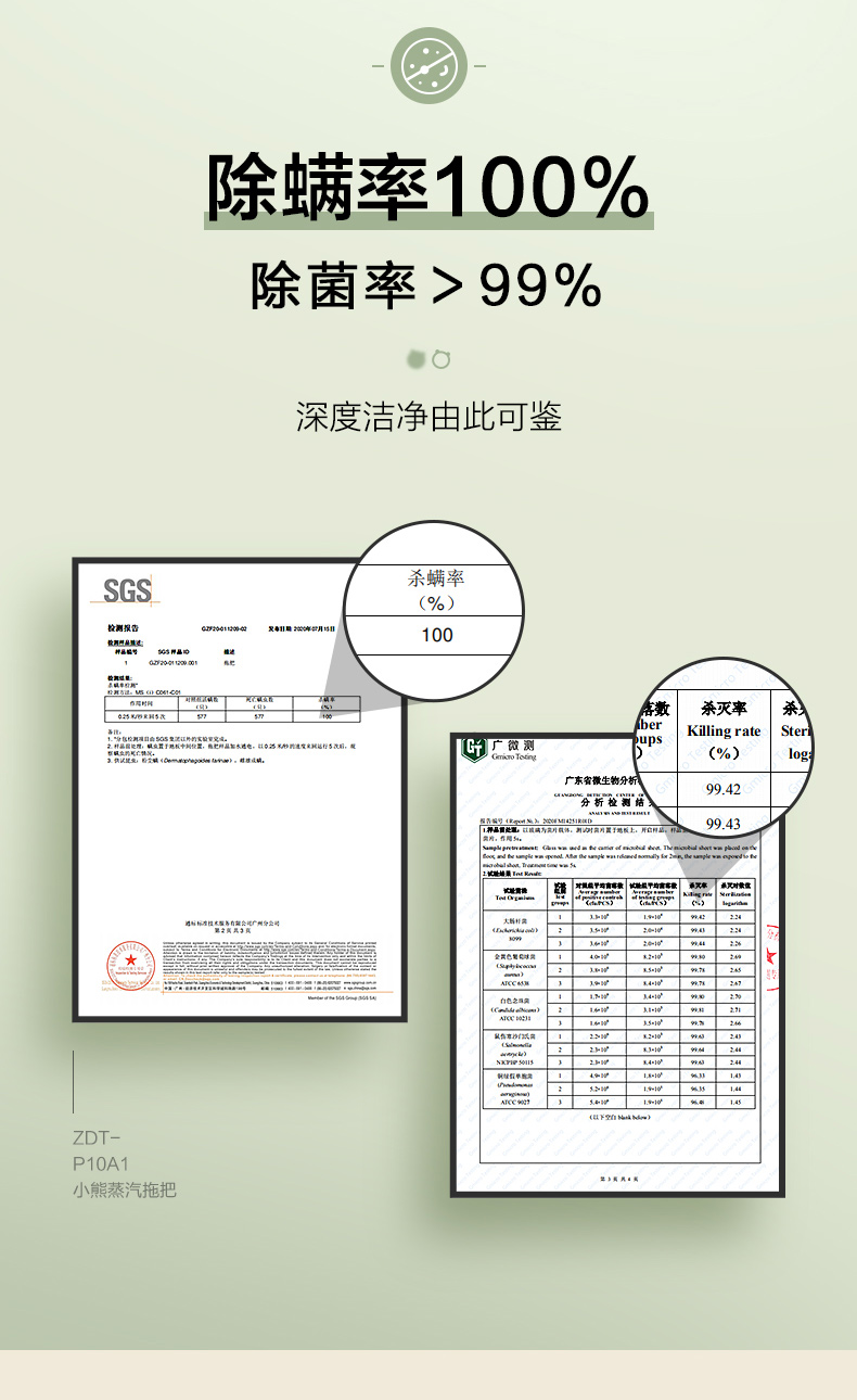 小熊（Bear）家用蒸汽拖把高温除菌电动擦地拖布非无线地板清洁拖地机ZDT-P10A1