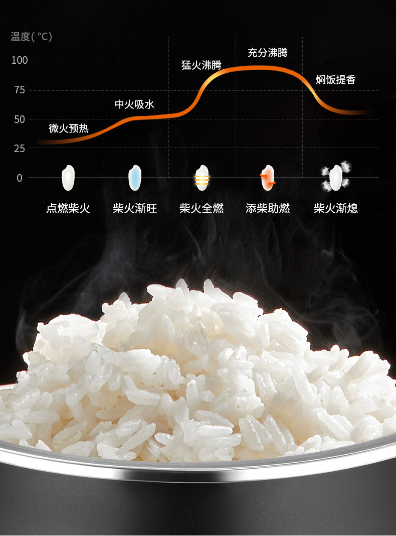 九阳(Joyoung)电饭煲5L铁釜内胆电饭锅IH电磁加热可预约钢化面板触摸式F50T-F751