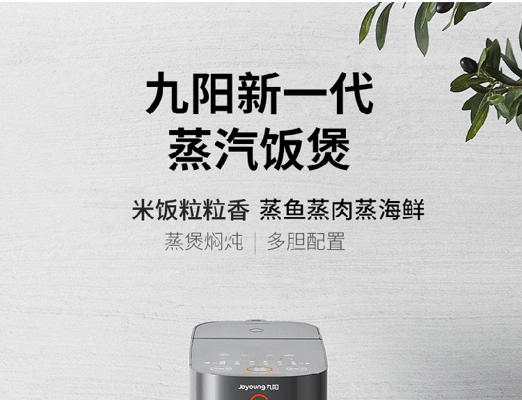 九阳(Joyoung)电饭煲3.5L创新蒸汽加热无涂层不粘内胆电饭锅F-S1带蒸鱼盘