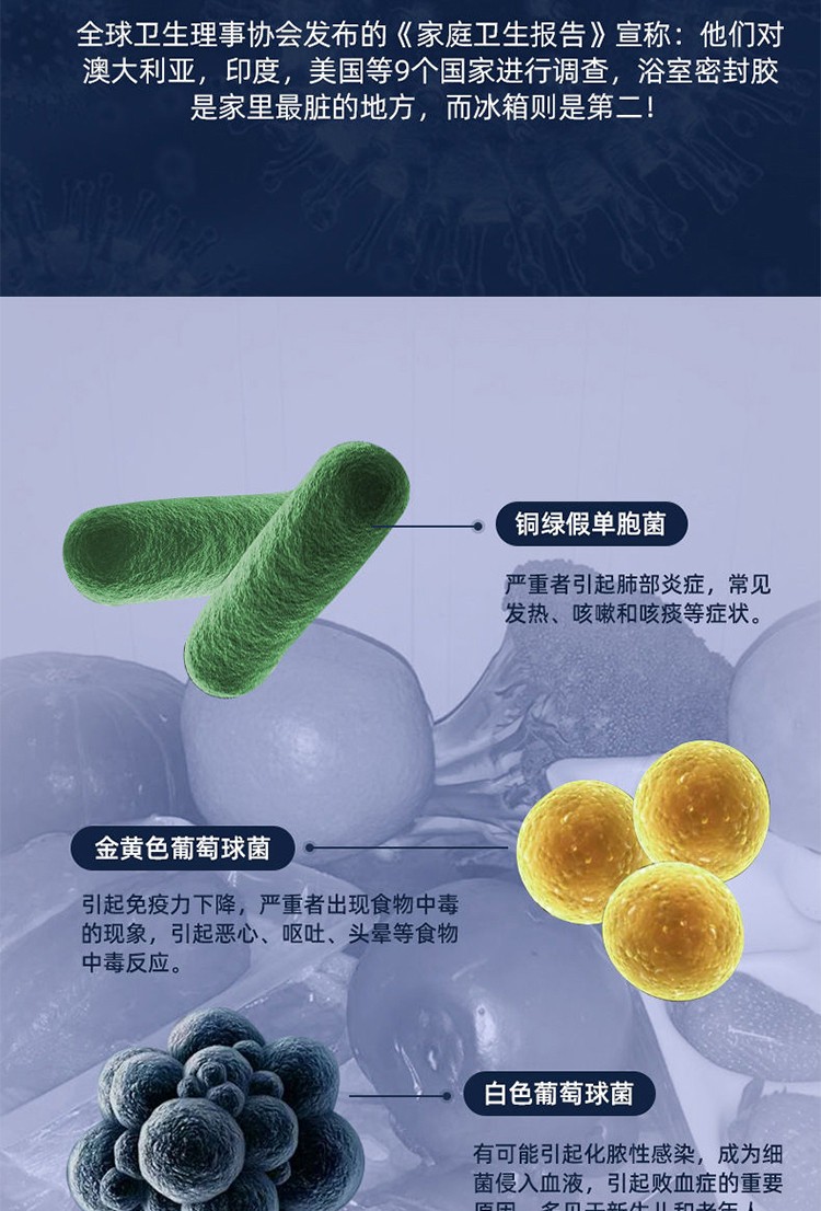 创维（Skyworth）冰箱除味神器净化空气臭氧消毒保鲜除臭去异味家用净化器G415