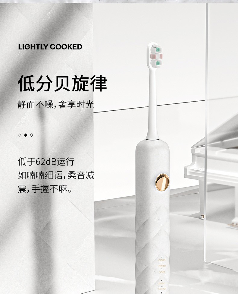 直白（zhibai）软毛超声波成人5档防水电动牙刷TL5