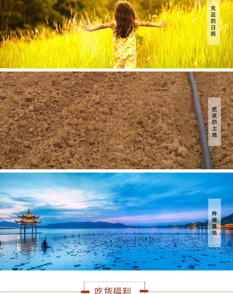 五星湖  正宗东北珍珠米2.5kg 黑龙江沼泽湿地优质大米