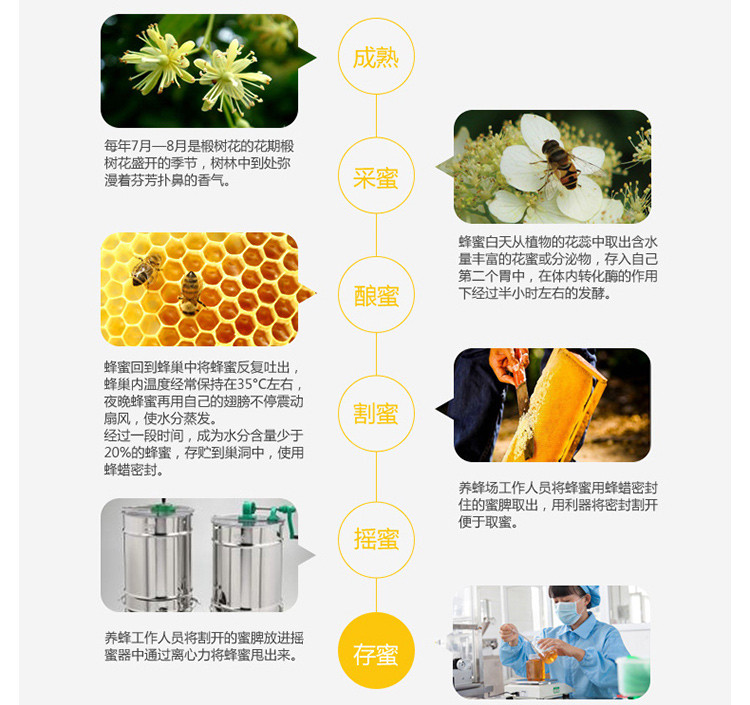 【农垦 黑龙江】北大荒 东北黑蜂  椴树蜜 便携装50g*1盒