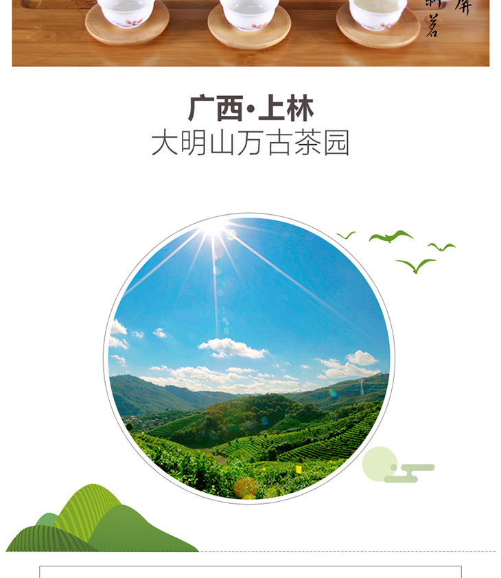 【中国农垦】大明山  盘龙王高档礼盒装绿茶 300g/盒 送礼佳品