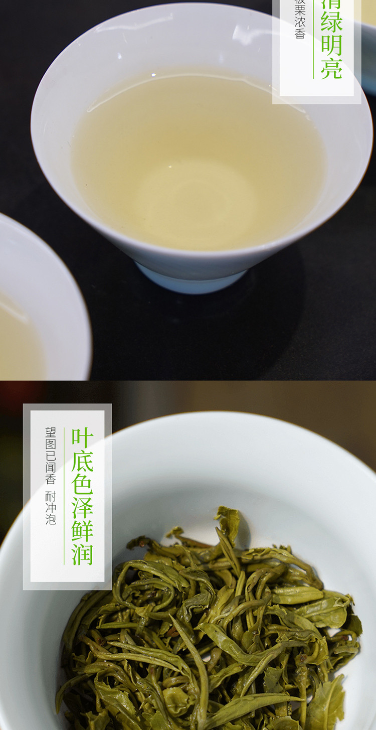 【中国农垦】大明山  广西特产 农垦茶叶 质量可追溯  春茶 绿茶 盘龙茶100g