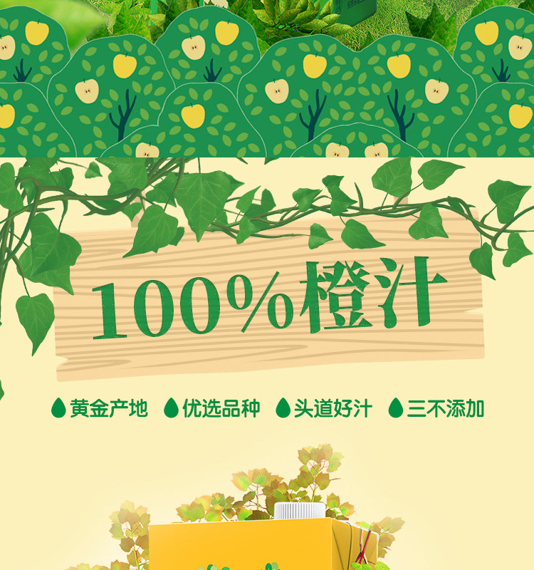 【1L*5桶装】新日期 多种口味可选 众果美味 100%纯果汁 1L*5盒  礼盒装