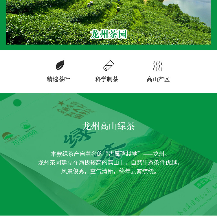 【中国农垦】大明山 2020新茶 绿茶100g