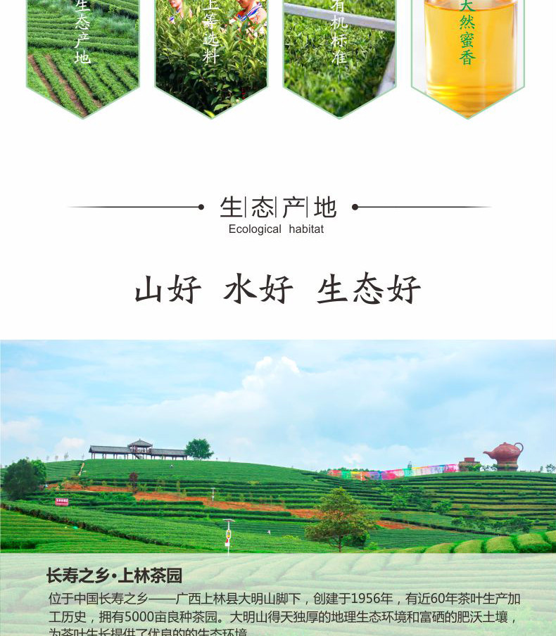 【中国农垦】大明山 特级浓香型红茶 有机工夫红茶 金萱茶散装罐装茶叶 150g