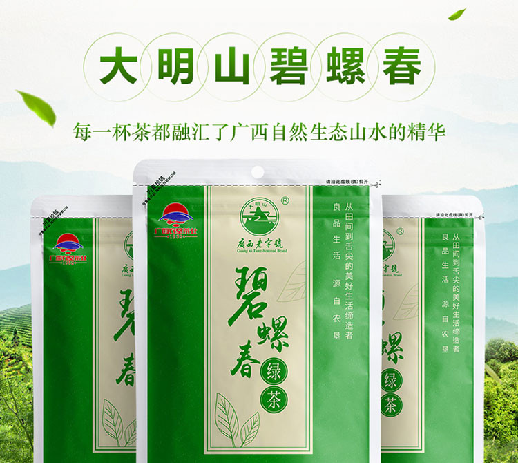  【2020新茶】大明山 绿茶 散装碧螺春 嫩芽碧螺春 浓香型125g/袋