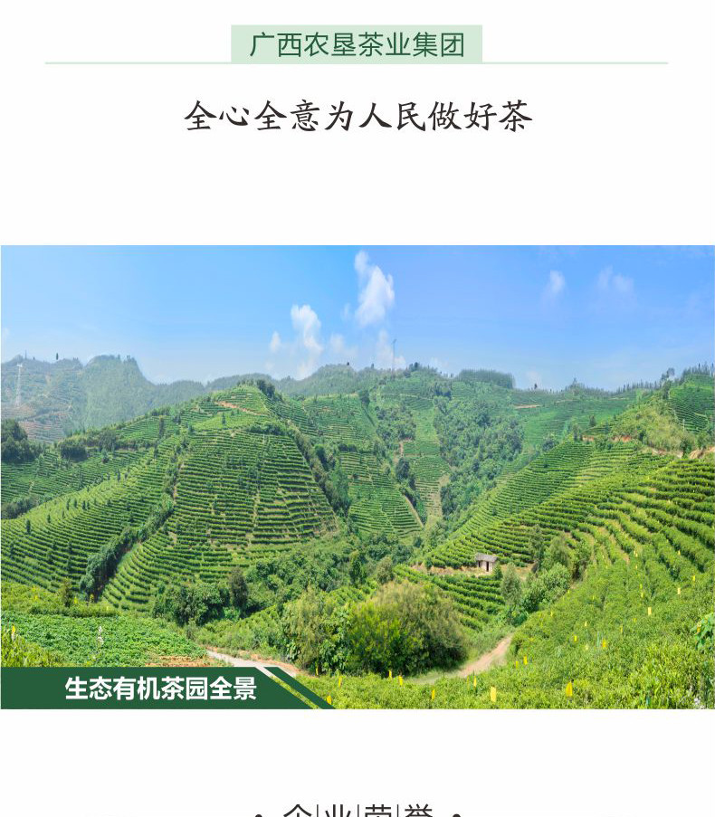 【中国农垦】大明山 特级浓香型红茶 有机工夫红茶 金萱茶散装罐装茶叶 150g