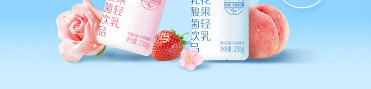 蒙牛/MENGNIU 真果粒花果轻乳樱花白桃味乳酸菌饮品PET瓶230g×10