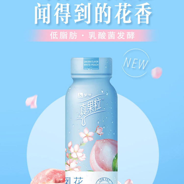 蒙牛/MENGNIU 真果粒花果轻乳樱花白桃味乳酸菌饮品PET瓶230g×10