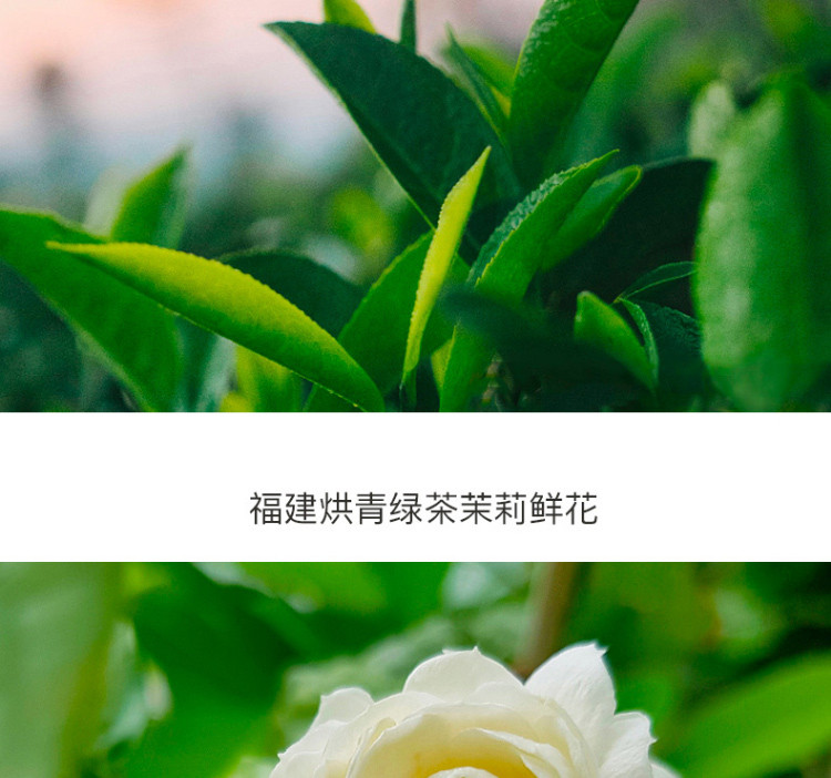 【李佳琪推荐】元气森林 网红 0蔗糖低脂阿萨姆奶茶低卡奶茶2种口味可选乳茶 450ml*12瓶