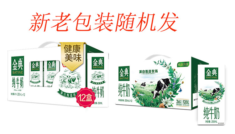 伊利  【6月产】金典纯高钙牛奶 优质蛋白 营养好吸收 250ml*12盒/箱